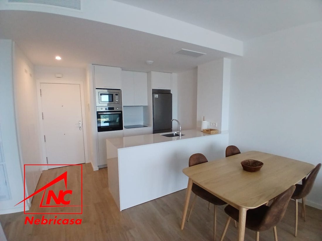 Piso Alquiler Cádiz In Cádiz, Andalusia, Spain For Rent (14811474)