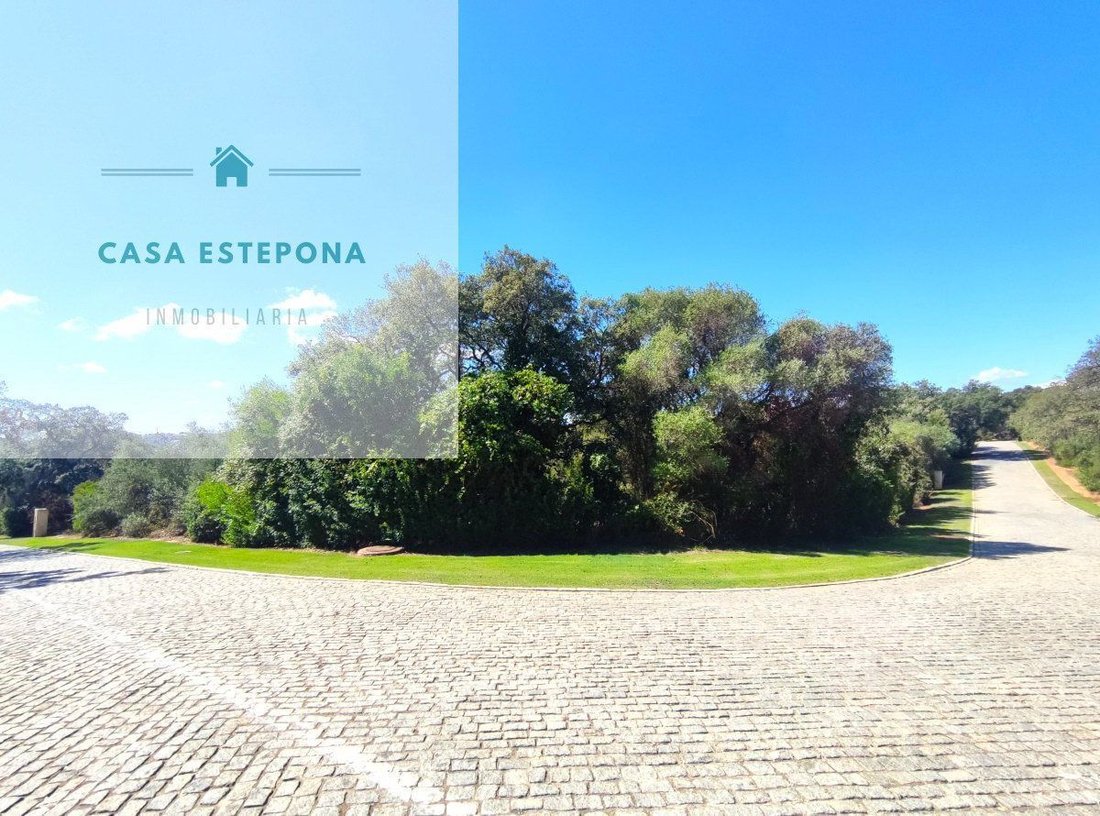 Land in Sotogrande, San Roque, Andalusia 1 - 14812438