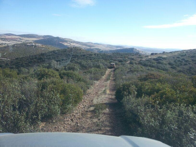 Land in Viso del Marques, Castile-La Mancha, Spain 3 - 14814375