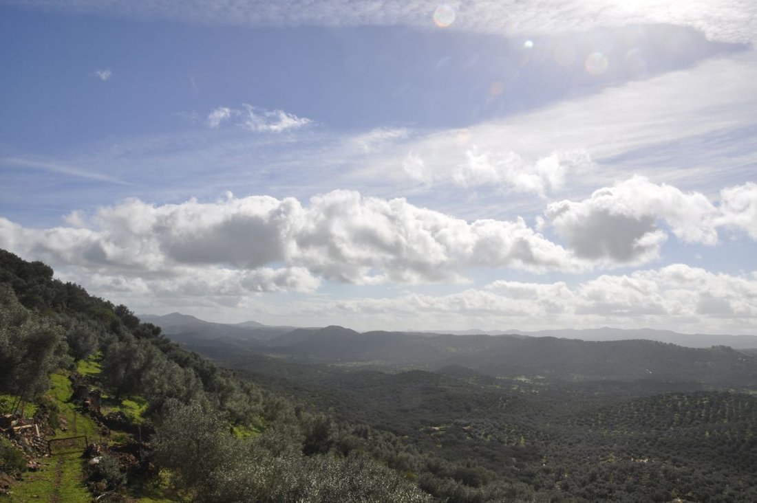 Farm Ranch in Hinojales, Andalusien, Spanien 5 - 14811498