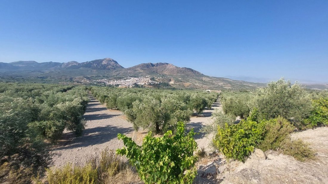 Finca in Quesada, Andalusia, Spain 2 - 14811227