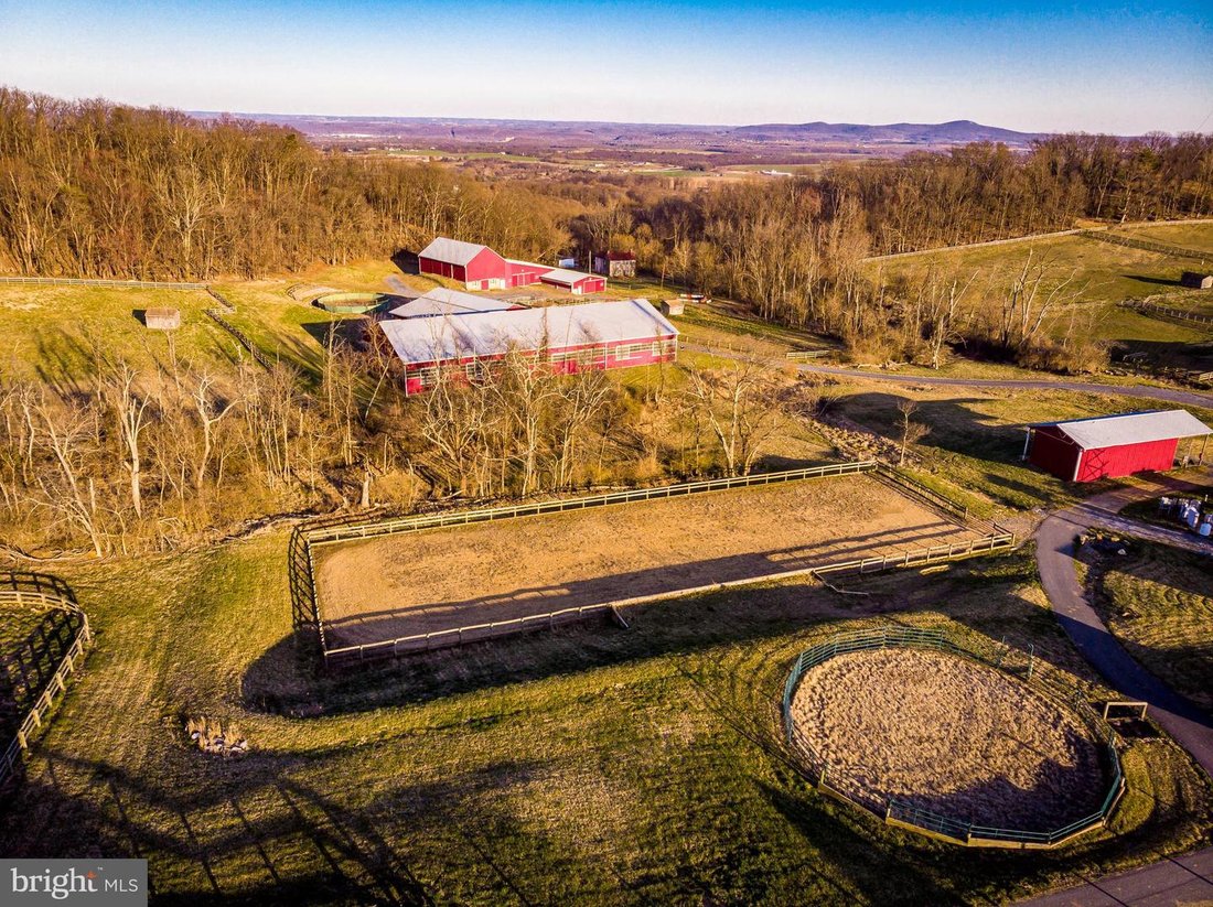 Breathtaking Equestrian Farm In Maryland In Jefferson, Maryland, United