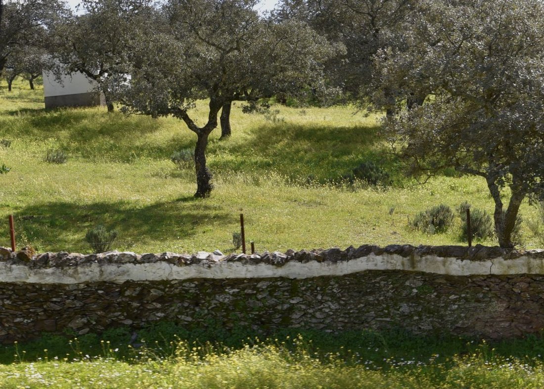 Farm Ranch in Hinojales, Andalusien, Spanien 3 - 14811498