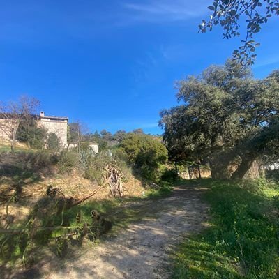Farm Ranch in Ronda, Andalusia, Spain 5 - 14812646