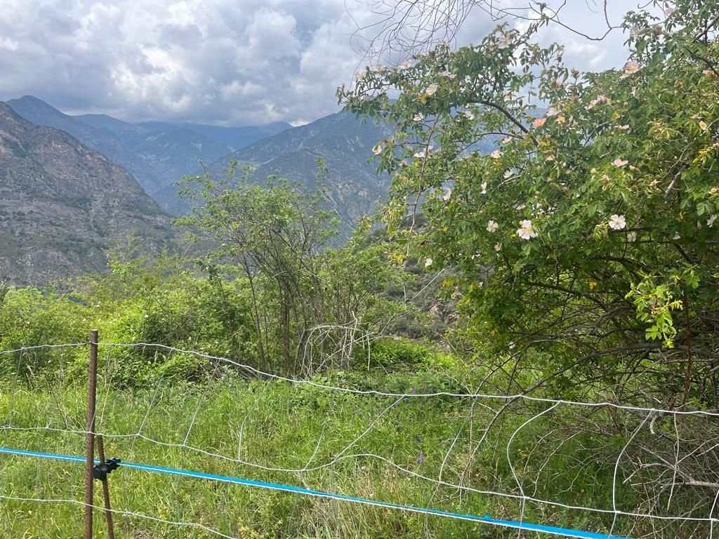 Land in Aixirivall, Sant Julià de Lòria, Andorra 2 - 14813456