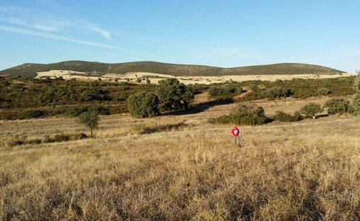 Land in Viso del Marques, Castile-La Mancha, Spain 1