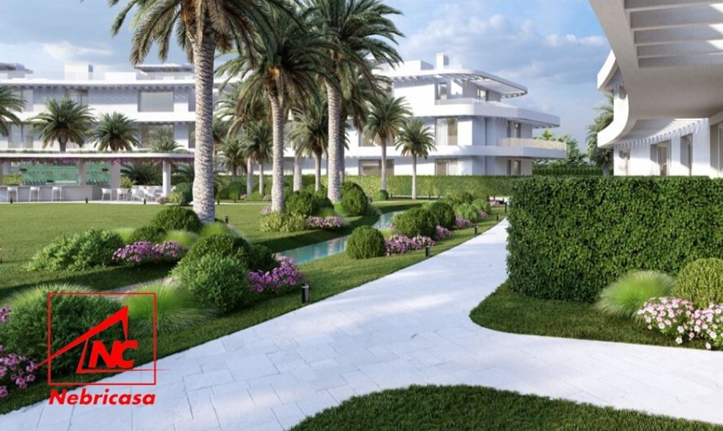 Piso Alquiler Cádiz In Cádiz, Andalusia, Spain For Rent (14811474)