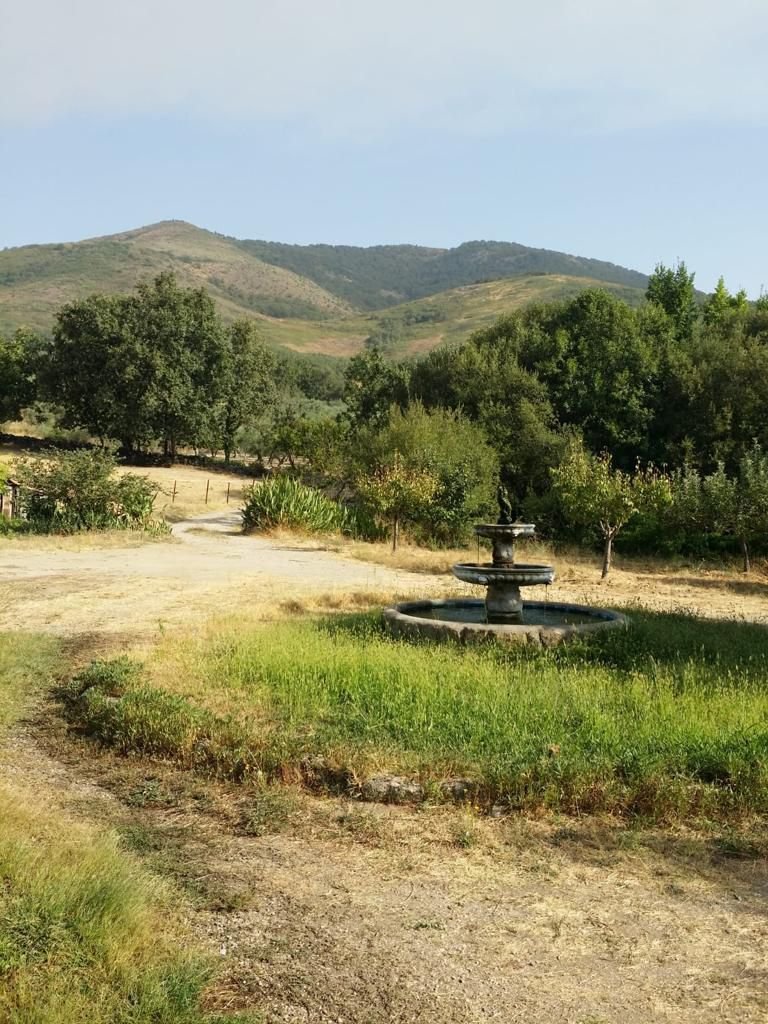 Chalet en Losar de la Vera, Extremadura, España 3 - 14814159