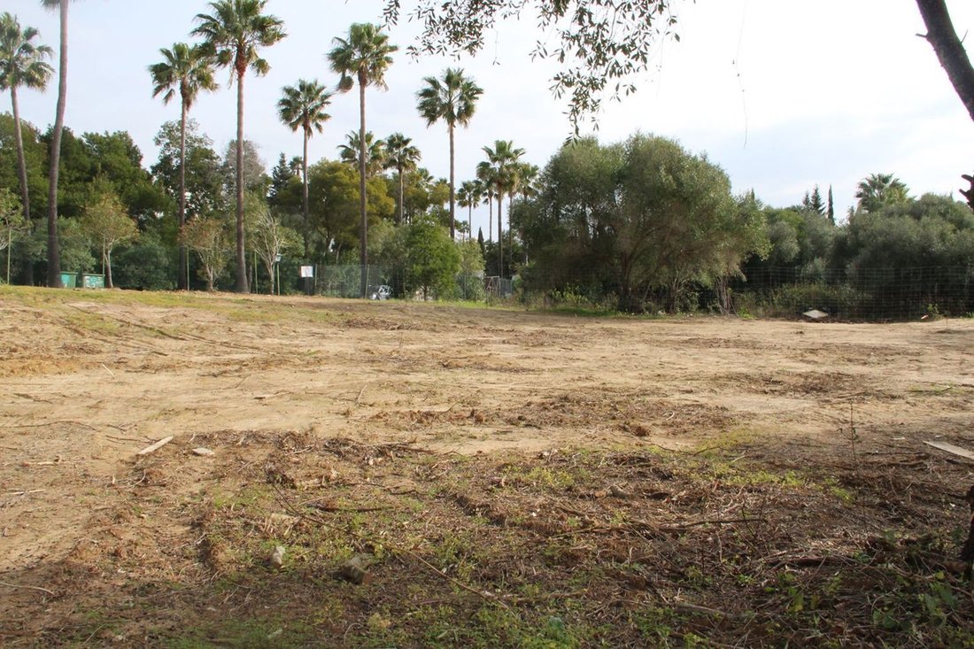 Land in Sotogrande, San Roque, Andalusia 3 - 14813685