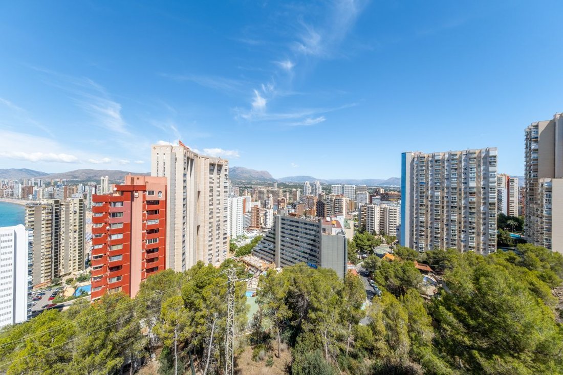 Chalet in Benidorm, Valencian Community, Spain 3 - 14811841