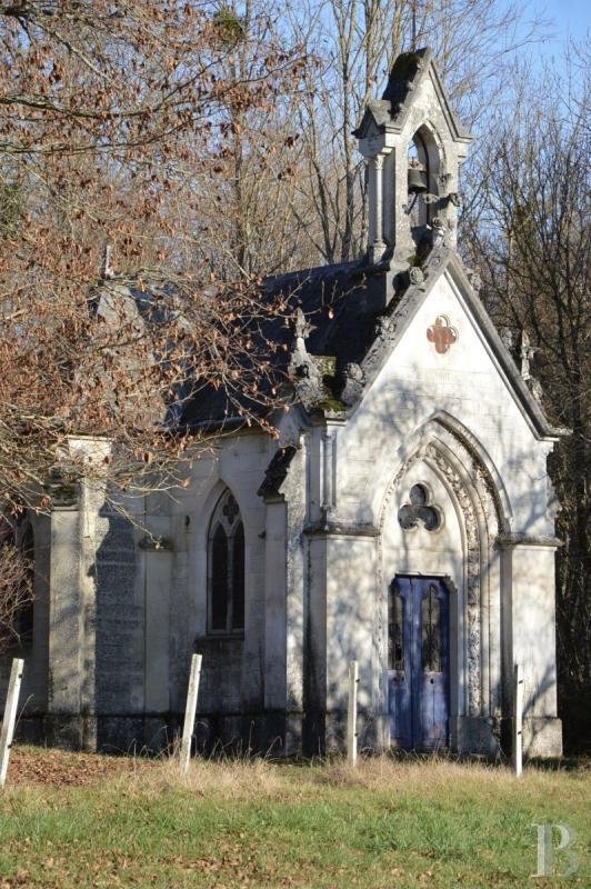 Whispers of Champagne: A Hidden Château, Its Chapel & Ancient Woods