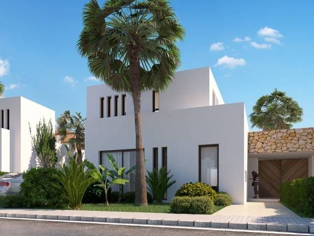 House in Aspe, Valencian Community, Spain 3 - 14812871