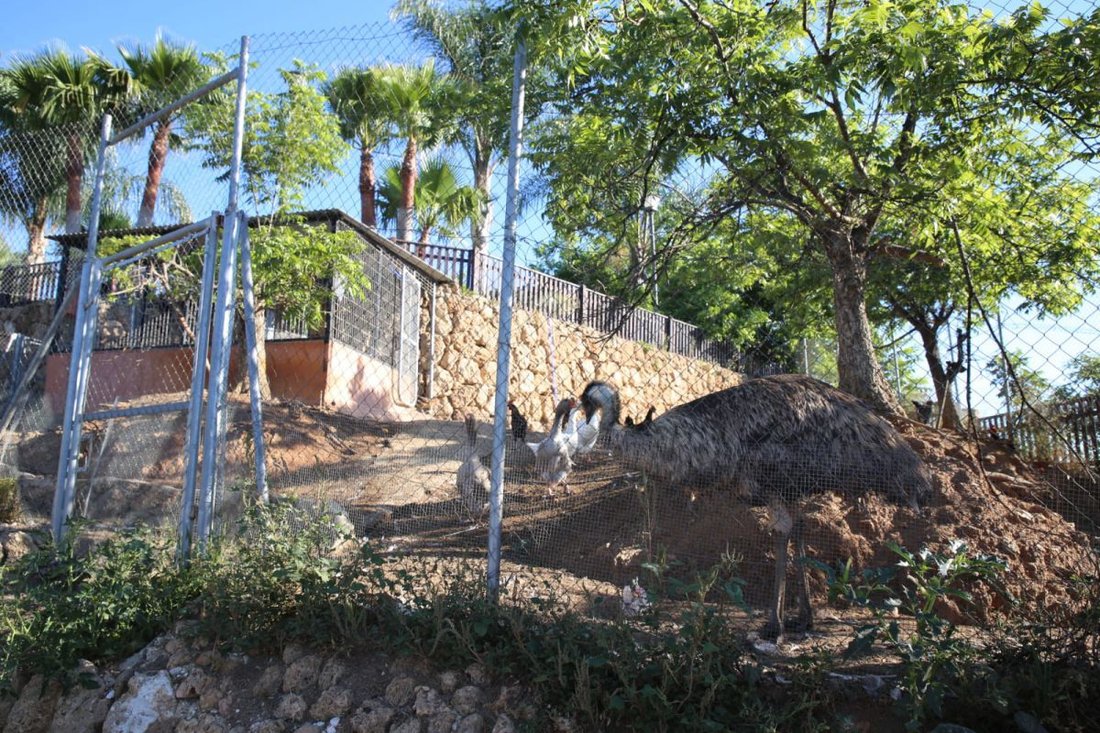 Finca a Coín, Andalusia, Spagna 5 - 14810072