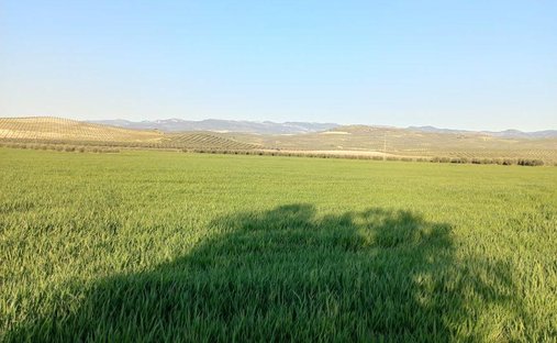 Corps de ferme à Peal de Becerro, Andalousie, Espagne 1