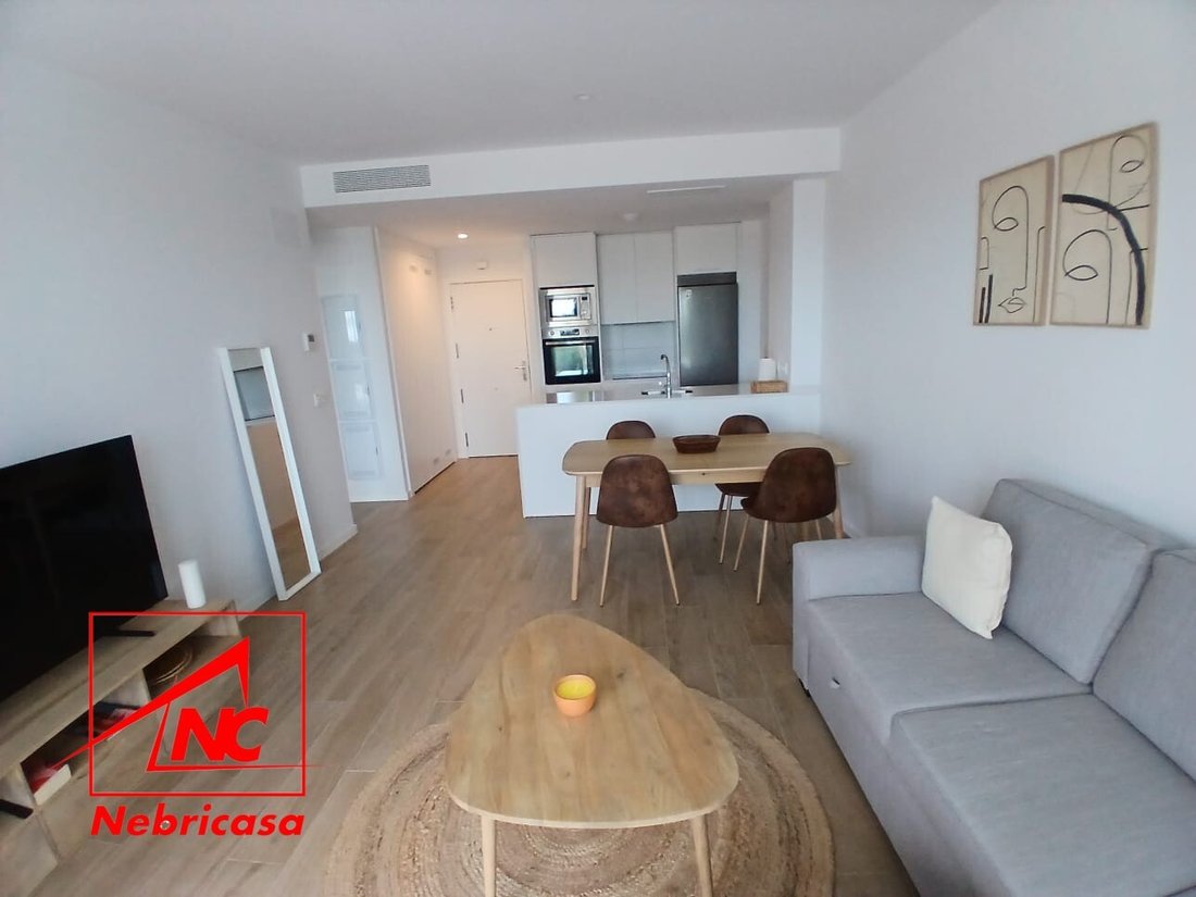 Piso Alquiler Cádiz In Cádiz, Andalusia, Spain For Rent (14811474)