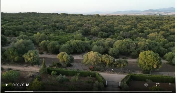 Farm Ranch in Arcos de la Frontera, Andalusia, Spain 3 - 14810725
