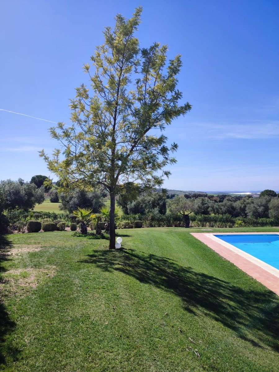 Villa in Arcos de la Frontera, Andalusia, Spain 4 - 14810787
