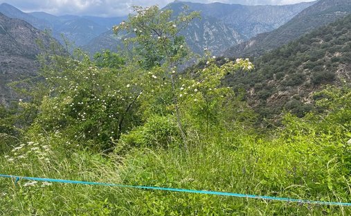 Land in Aixirivall, Sant Julià de Lòria, Andorra 1