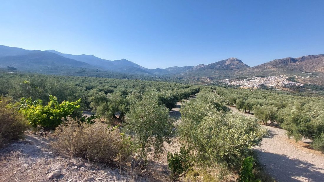 Finca in Quesada, Andalusia, Spain 3 - 14811227
