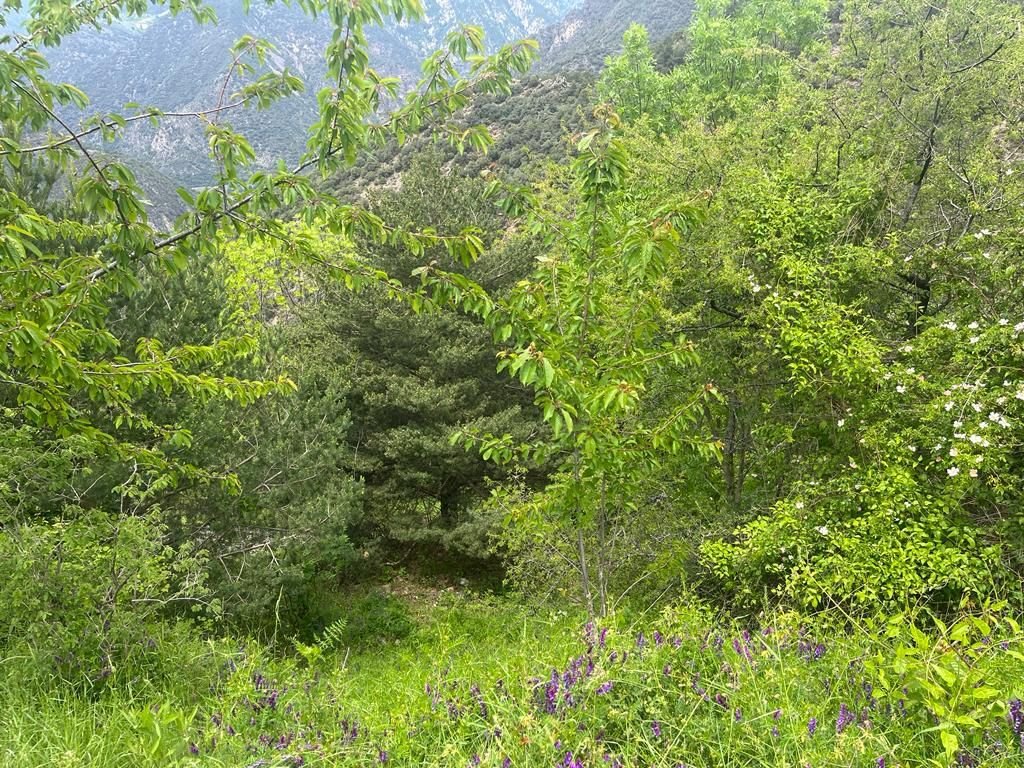 Land in Aixirivall, Sant Julià de Lòria, Andorra 3 - 14813456