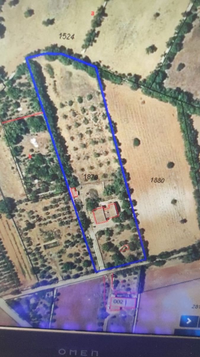 Chalet in ses Salines, Balearic Islands, Spain 3 - 14810818