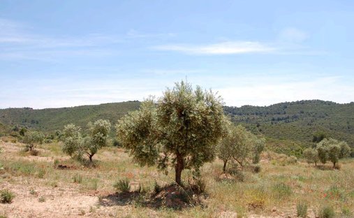 Corps de ferme à la Granadella, Catalogne, Espagne 1