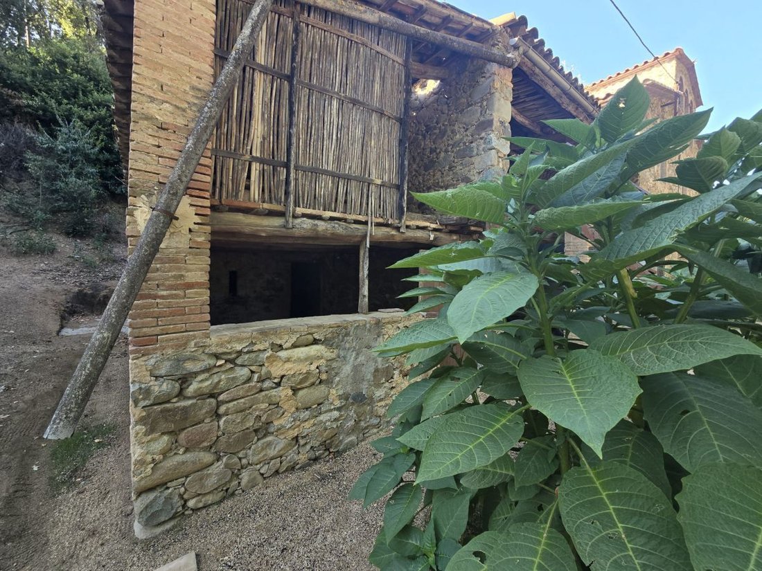 Farm Ranch in Sant Gregori, Catalonia, Spain 5 - 14813829