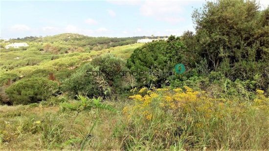 Land in Sotogrande, San Roque, Andalusia 2 - 14813803