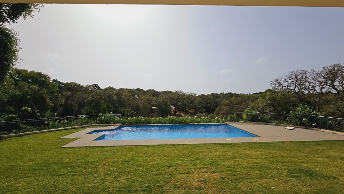 Villa in Sotogrande, San Roque, Andalusia 5 - 14816871