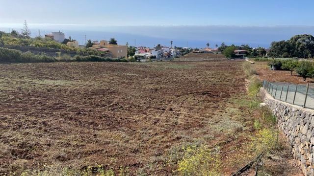 Farm Ranch in Tacoronte, Canary Islands, Spain 5 - 14811050