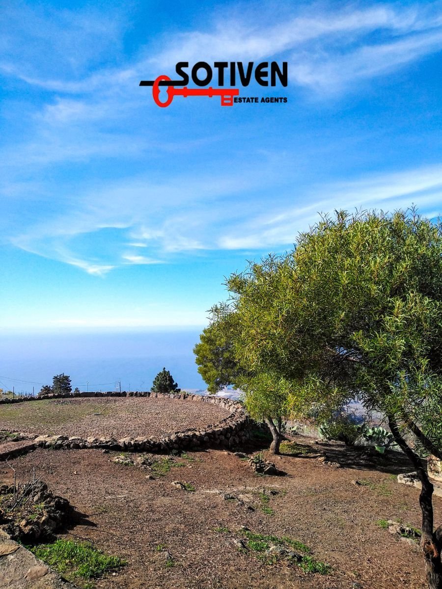 Finca in Spain 5 - 14811005