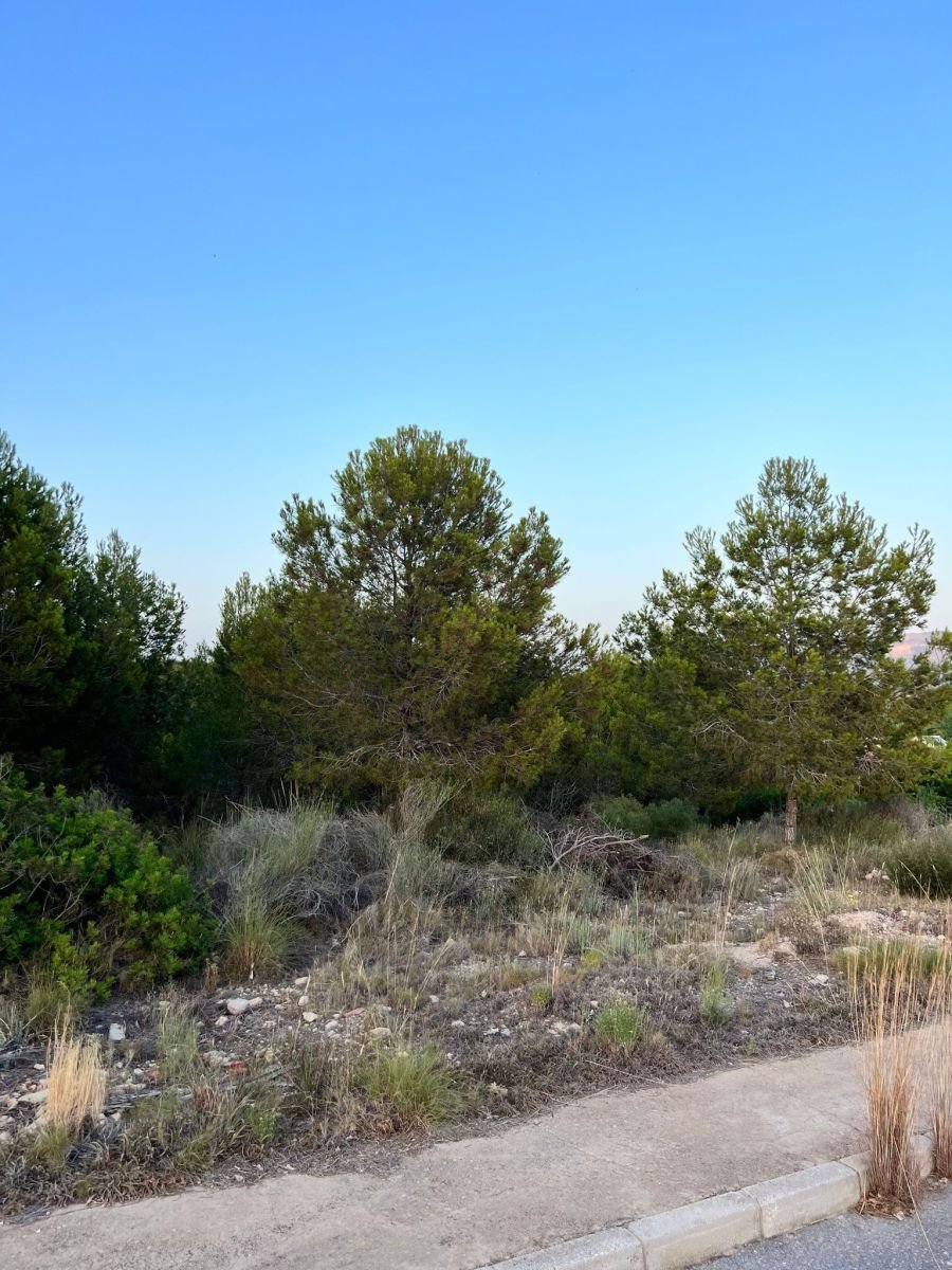 Land in Benidorm, Valencian Community, Spain 2 - 14814397