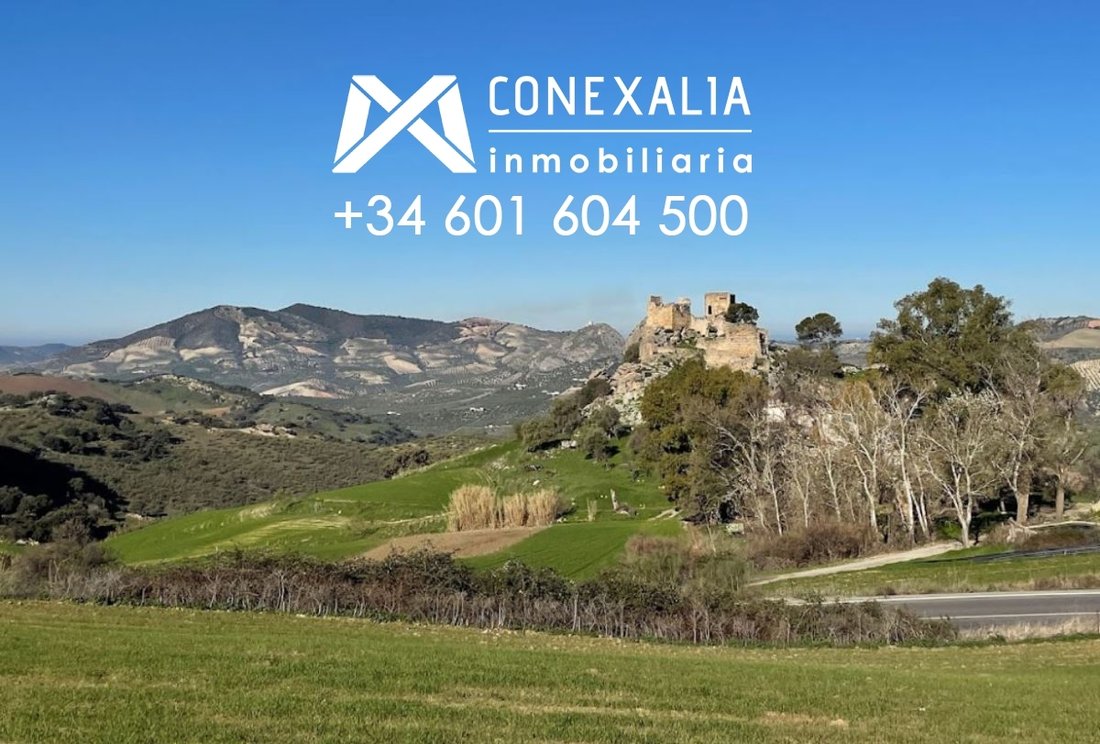 Finca à Olvera, Andalousie, Espagne 1 - 14814476