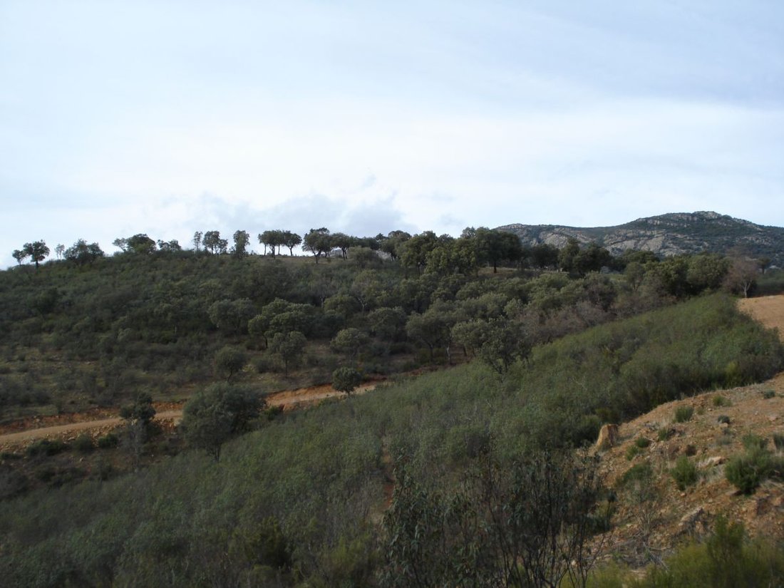 Farm Ranch in Argamasilla de Calatrava, Castile-La Mancha, Spain 2 - 14811386