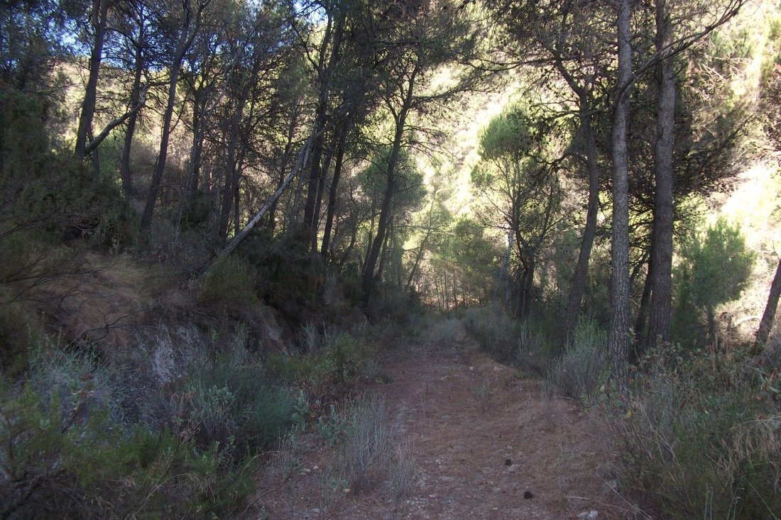 Rancho en Lorca, Región de Murcia, España 5 - 14810162