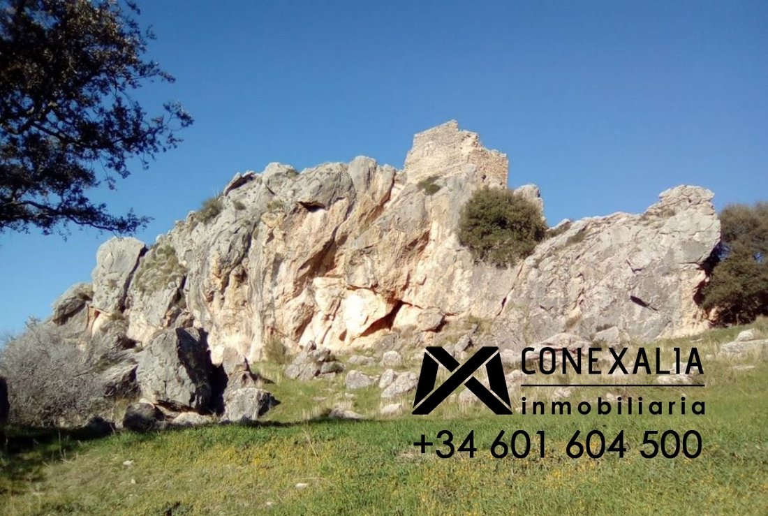 Finca à Olvera, Andalousie, Espagne 5 - 14814476
