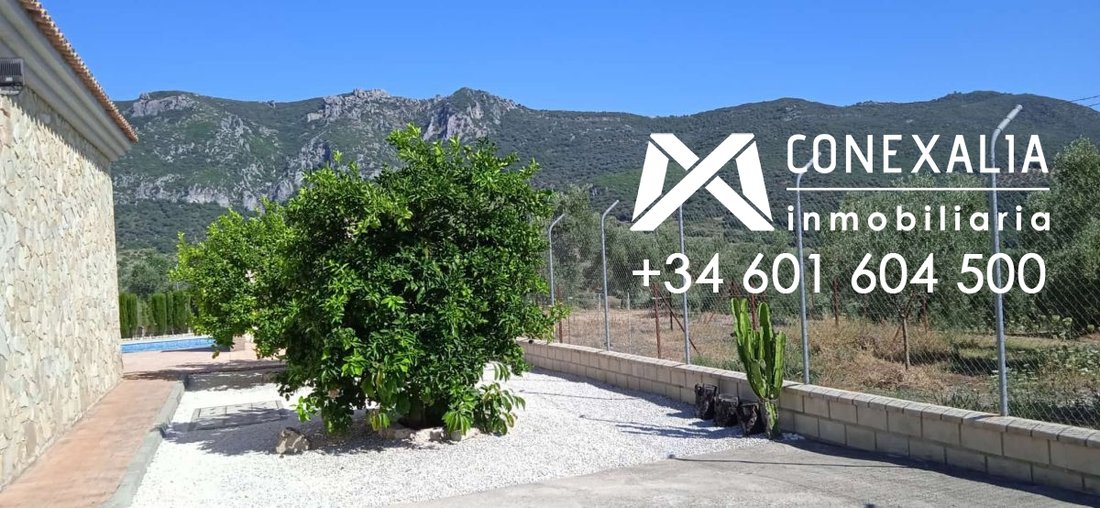 Finca in Algodonales, Andalusia, Spain 3 - 14814506