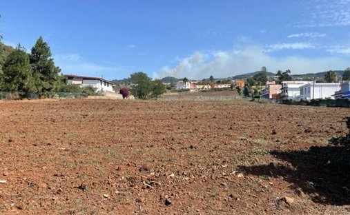 Azienda agricola a Tacoronte, Isole Canarie, Spagna 1