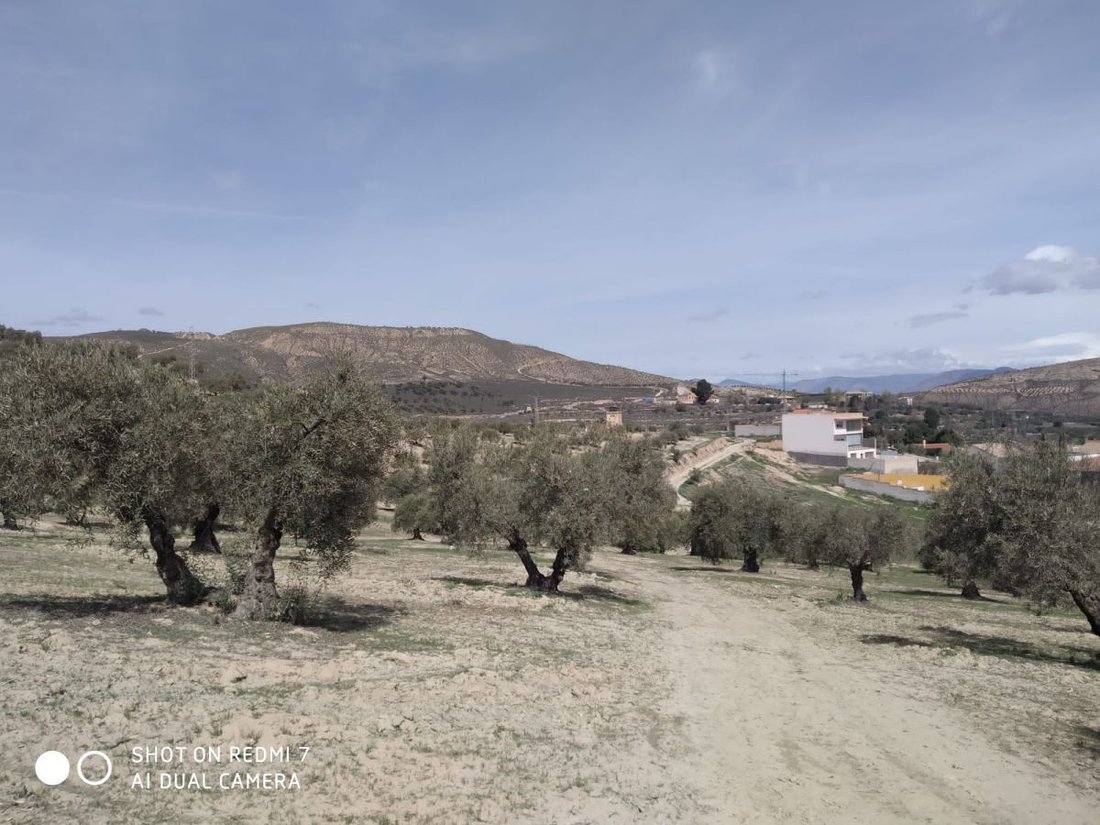 Land in La Malaha, Andalusia, Spain 1 - 14812938