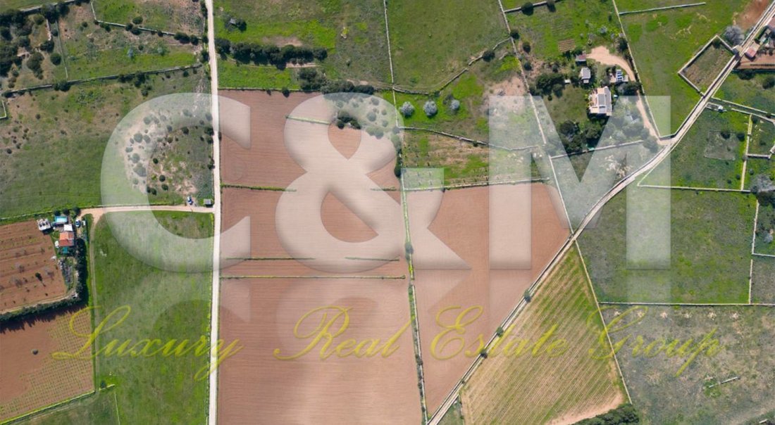 Land in Formentera, Balearic Islands, Spain 5 - 14813352