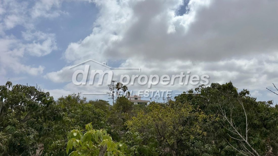 Finca in Arona, Canary Islands, Spain 3 - 12835807