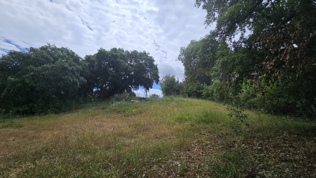 Land in Sotogrande, San Roque, Andalusia 4 - 14817378