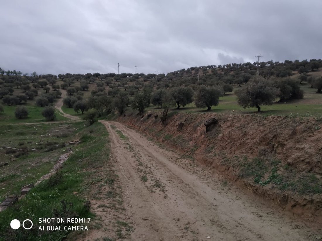 Land in La Malaha, Andalusia, Spain 4 - 14812938
