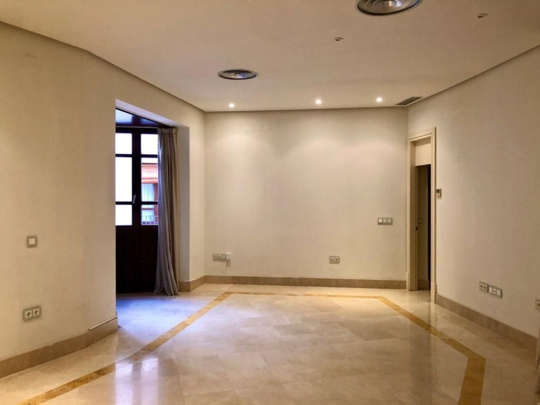 Apartment in Casco Antiguo, Seville, Spain 4 - 14816052