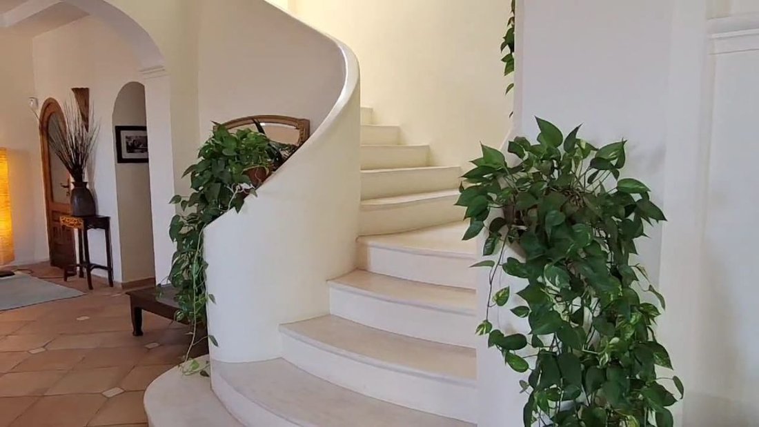 Country House in Palma de Gandia, Valencian Community, Spain 5 - 14815166