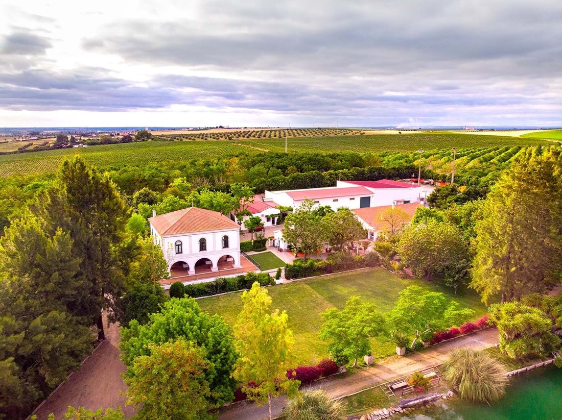 Farm With Historical Roots In In Ferreira Do Alentejo, Beja District ...