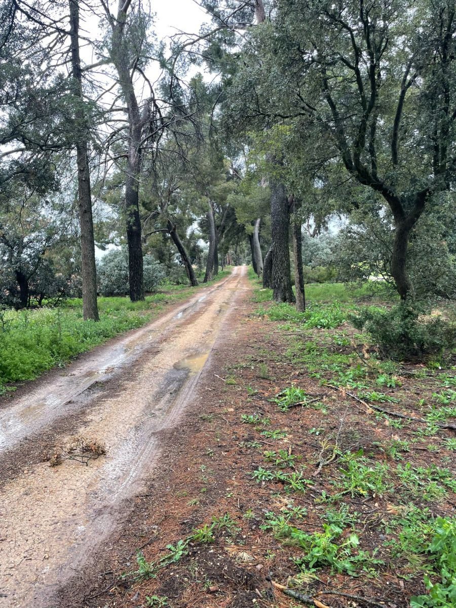 Farm Ranch in Corral de Almaguer, Kastilien-La Mancha, Spanien 2 - 14813459