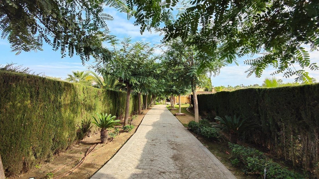 Chalet in Sotogrande, San Roque, Andalusia 2 - 14813666