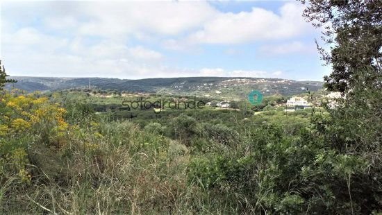 Land in Sotogrande, San Roque, Andalusia 4 - 14813790