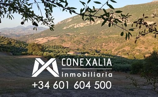 Finca en Algodonales, Andalucía, España 1